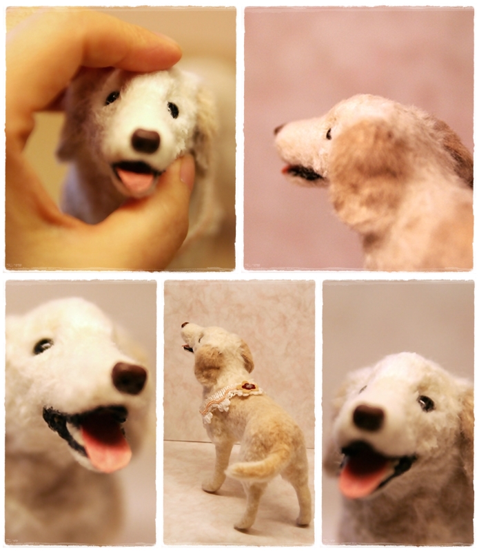 �r�уt�F���g�@��