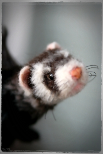 �r�уt�F���g�@�t�F���b�g