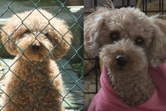 �r�уt�F���g