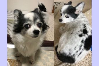 �r�уt�F���g�@�{���ʐ^