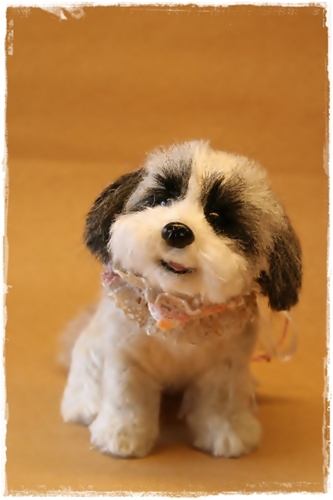 �r�уt�F���g