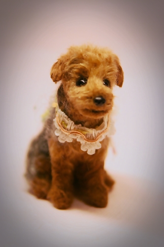 �r�уt�F���g