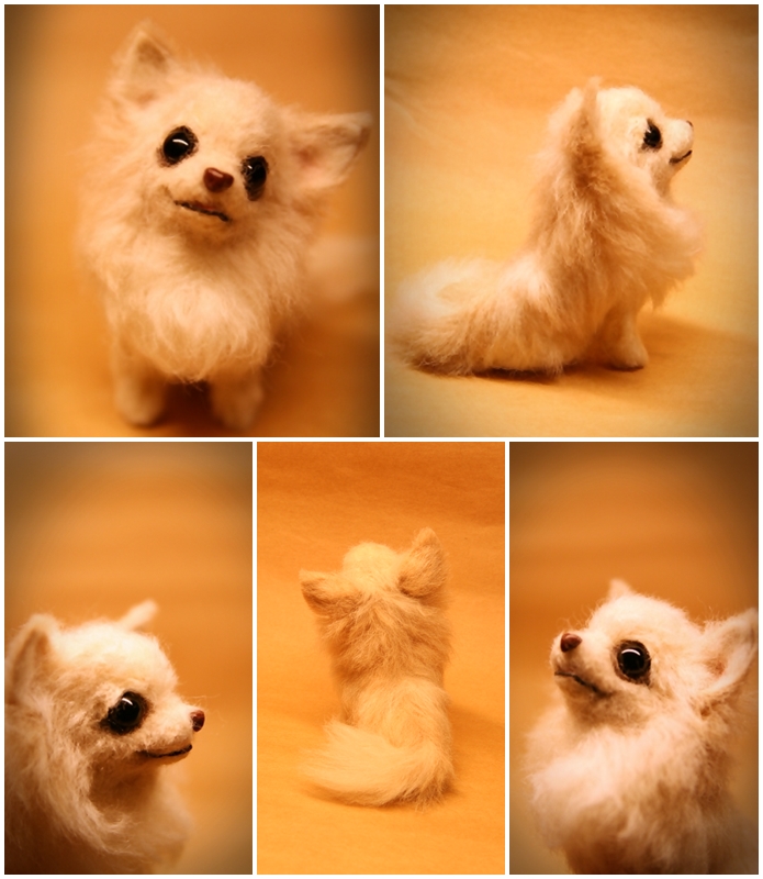 �r�уt�F���g