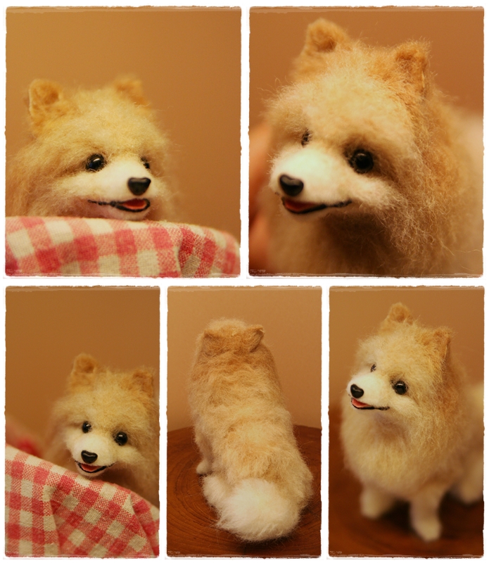 �r�уt�F���g�@���@�|�����j�A��