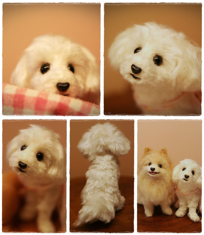 �r�уt�F���g�@���@�}���`�[�Y