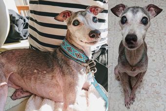 �r�уt�F���g�@�{���ʐ^