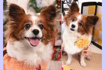 �r�уt�F���g�@�{���ʐ^