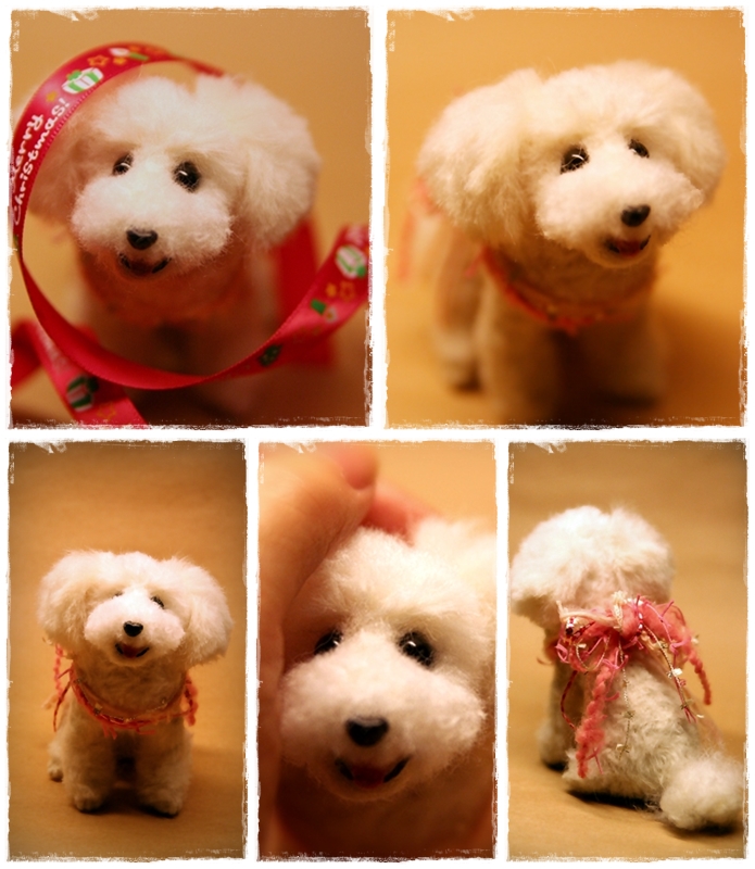 �r�уt�F���g