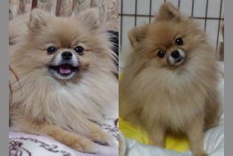 �r�уt�F���g