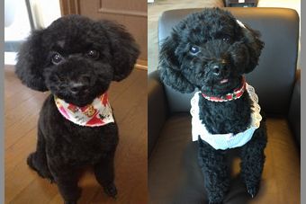 �r�уt�F���g