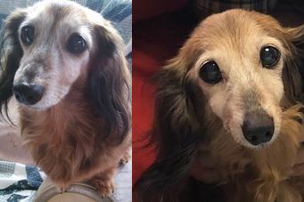 �r�уt�F���g