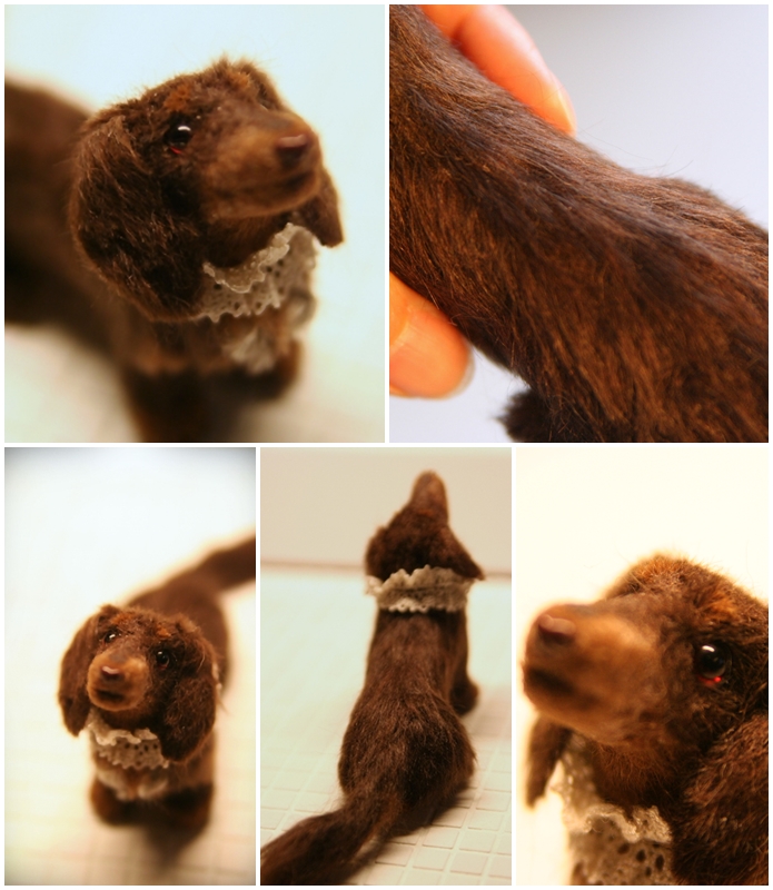 �r�уt�F���g�@���@�_�b�N�X