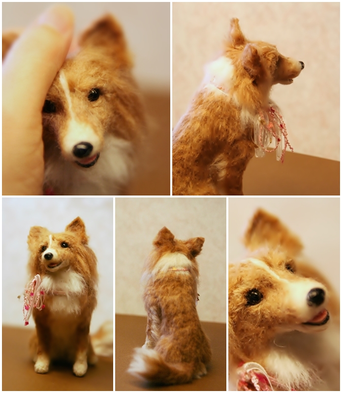 �r�уt�F���g