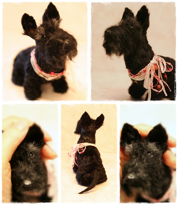 �r�уt�F���g