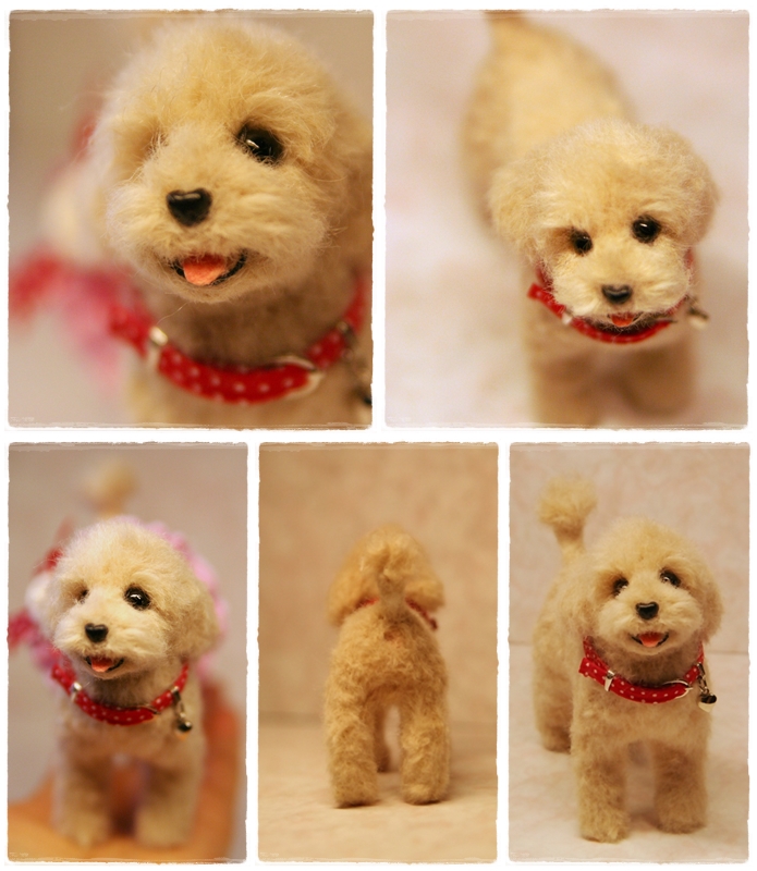 �r�уt�F���g�@�g�C�v�[�h��