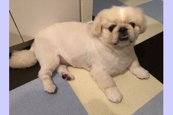 �r�уt�F���g�@�{���ʐ^