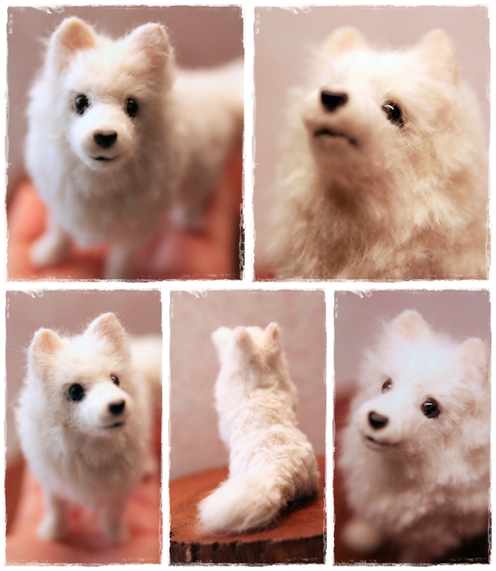 �r�уt�F���g�@���@���{�X�s�b�c