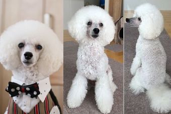 �r�уt�F���g