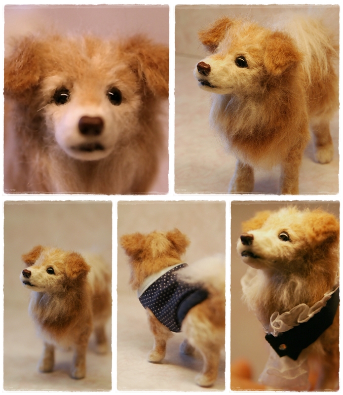 �r�уt�F���g�@��