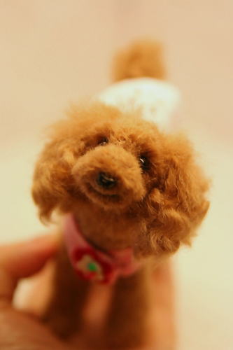 �r�уt�F�g���@��