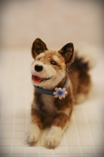 �r�уt�F���g�@��