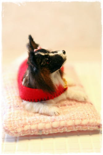 �r�уt�F���g�@�p�s����