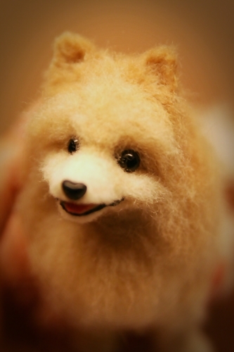 �r�уt�F���g�@���@�|�����j�A��