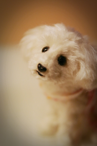 �r�уt�F���g�@���@�}���`�[�Y