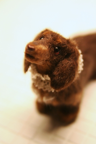 �r�уt�F���g�@���@�_�b�N�X