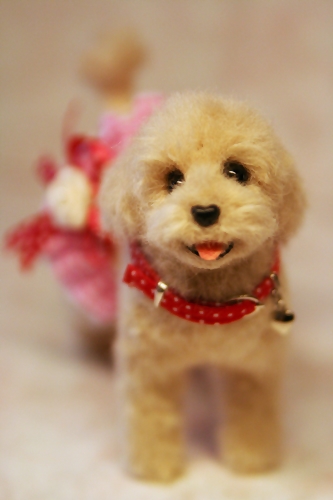 �r�уt�F���g�@�g�C�v�[�h��