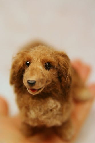 �r�уt�F���g�@���@�~�j�`���A�_�b�N�X