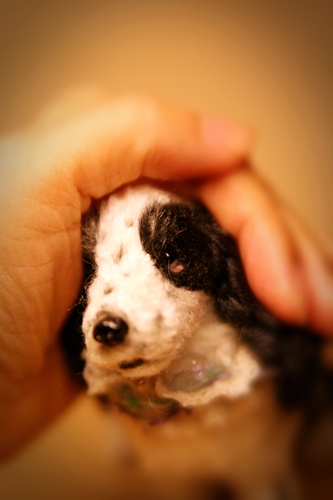 �r�уt�F���g�@�C���O���b�V���R�b�J�[�X�p�j�G��