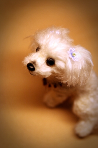 �r�уt�F���g