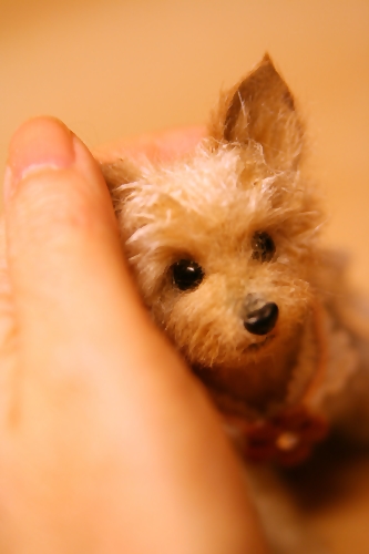 �r�уt�F���g�@