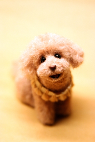 �r�уt�F���g