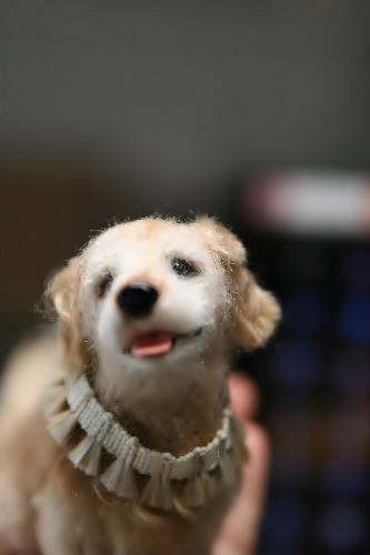 �r�уt�F���g�@��