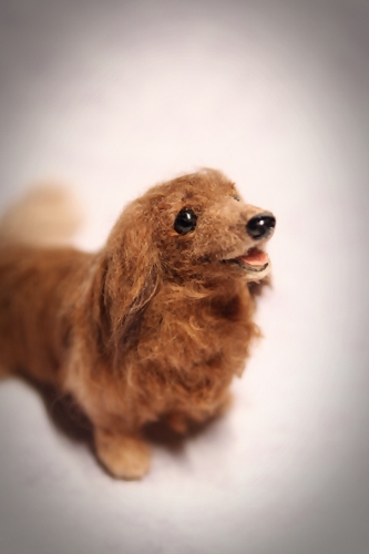 �r�уt�F���g