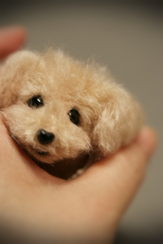 �r�уt�F���g�@�g�C�v�[�h��