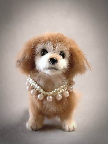 �r�уt�F���g�@��