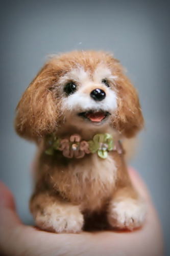 �r�уt�F���g�@��