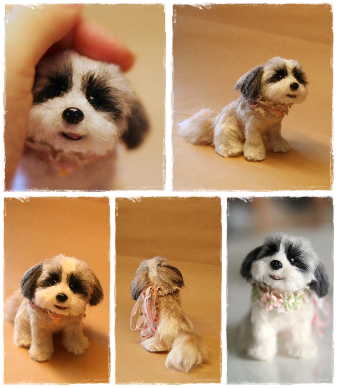 �r�уt�F���g