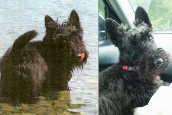 �r�уt�F���g