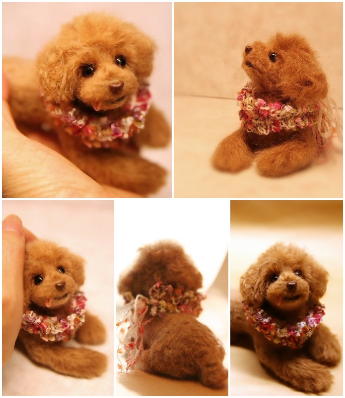 �r�уt�F���g