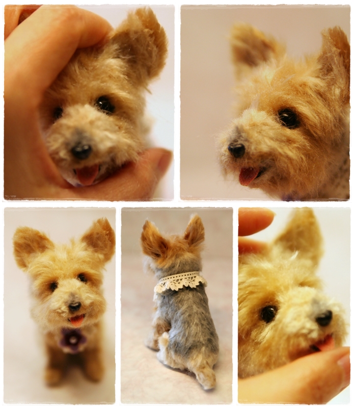 �r�уt�F���g